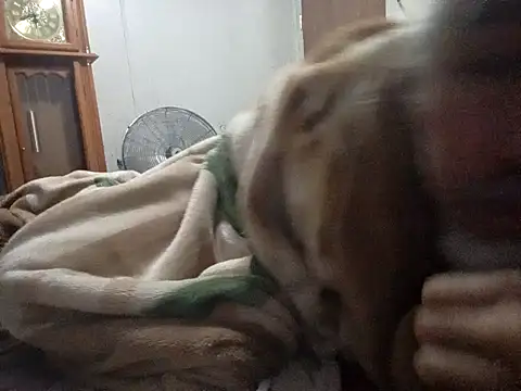 Xoc8  online show from 02.14.26