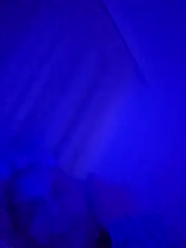 Snapshot of denisxlRo chatting on 03.16.25 denisxlRo online show from 03.16.25