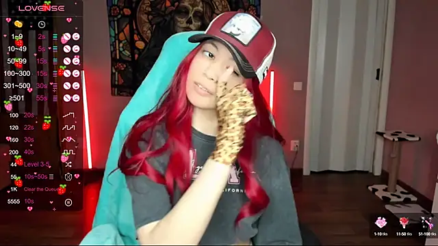 Project hisoka online show from 01.02.25