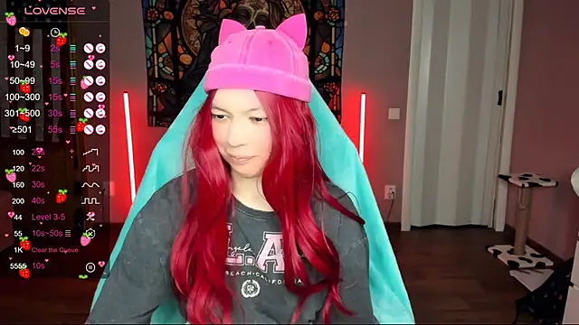 Project hisoka online show from 01.05.25