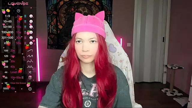 Project hisoka online show from 01.17.25