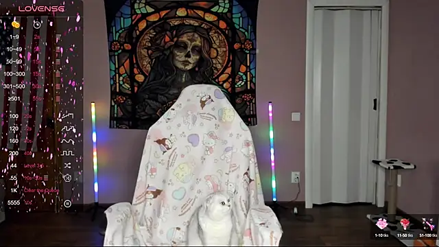 Project hisoka online show from 03.09.25