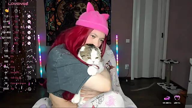 Project hisoka online show from 03.10.25