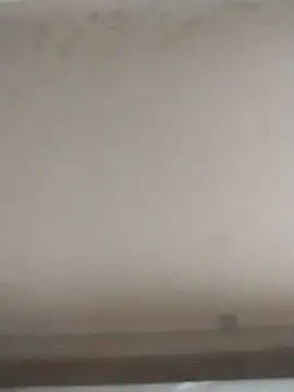 Snapshot of tatoocba88 chatting on 11.28.25 tatoocba88 online show from 11.28.25