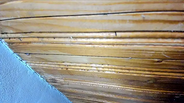 Snapshot of 00loret chatting on 02.21.25 00loret online show from 02.21.25