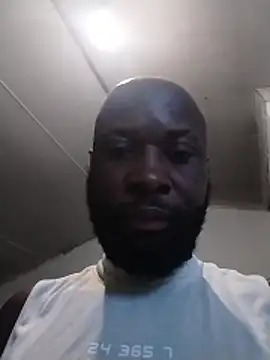 Stallion100 online show from 11.02.25