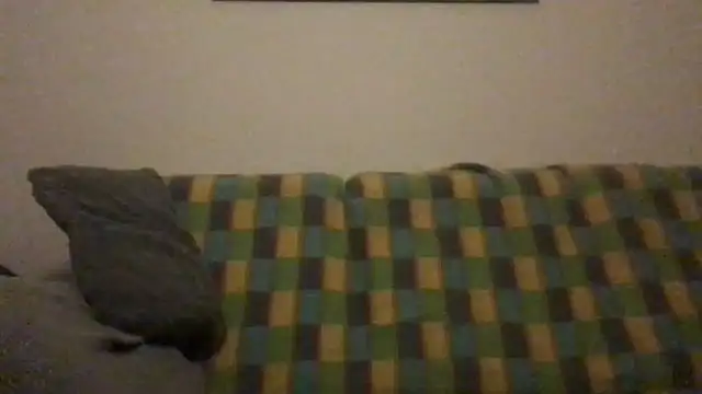 Totipro69 online show from 12.04.24