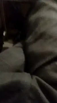 Snapshot of myhot1551 chatting on 02.15.25 myhot1551 online show from 02.15.25