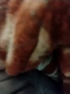 Snapshot of myhot1551 chatting on 02.16.25 myhot1551 online show from 02.16.25