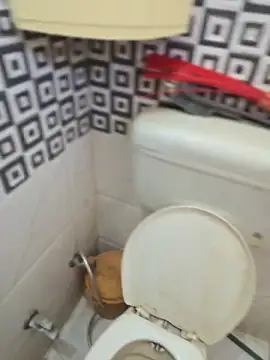 Loveboycurvy online show from 04.02.26