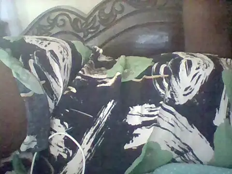 Snapshot of missarpie chatting on 02.11.26 missarpie online show from 02.11.26