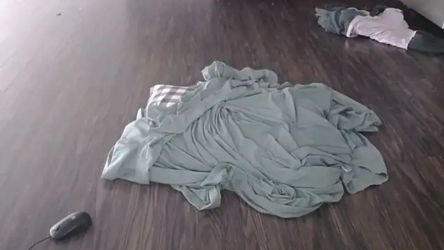 steelwood303 online show from 02.07.26