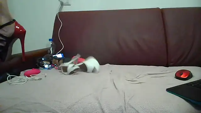 Snapshot of Danielasexy74 chatting on 11.14.25 Danielasexy74 online show from 11.14.25