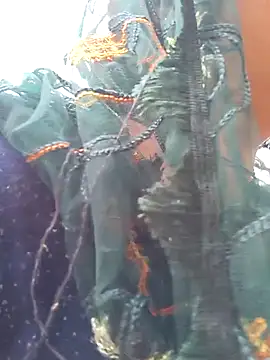 Simaran bhabhi online show from 03.16.25