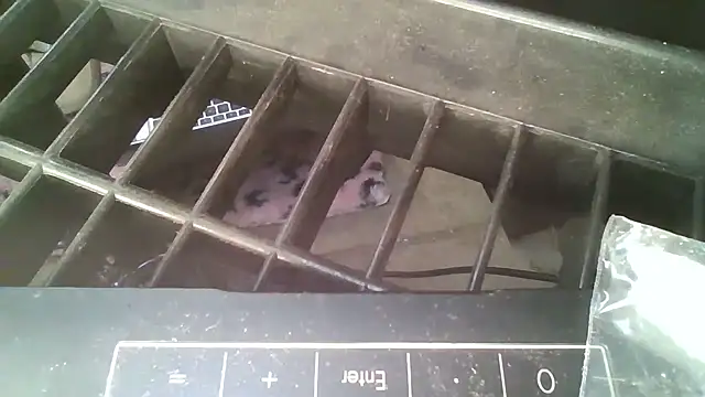 Snapshot of allissonw13 chatting on 10.23.25 allissonw13 online show from 10.23.25