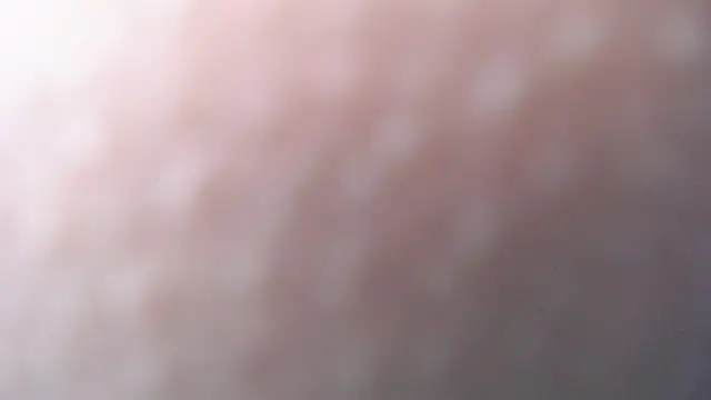 luly pink online show from 12.20.24