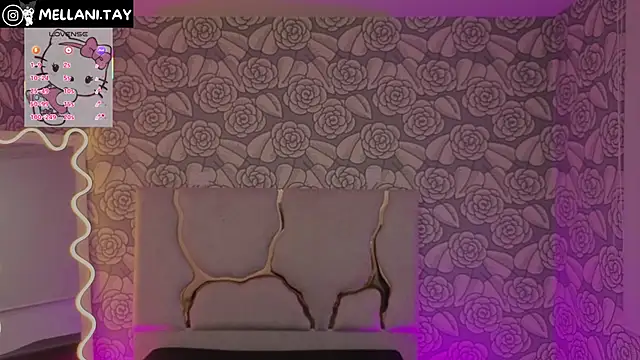 Snapshot of Mellani_tay chatting on 11.10.25 Mellani tay online show from 11.10.25