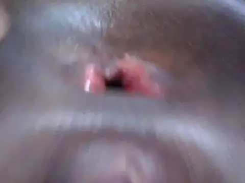 petitev online show from 12.18.24