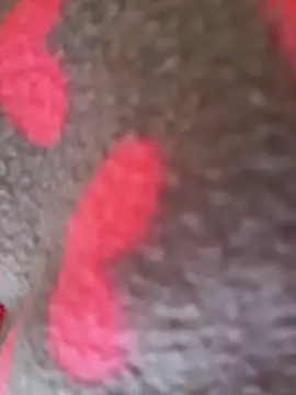 Noviostoxico online show from 01.15.26