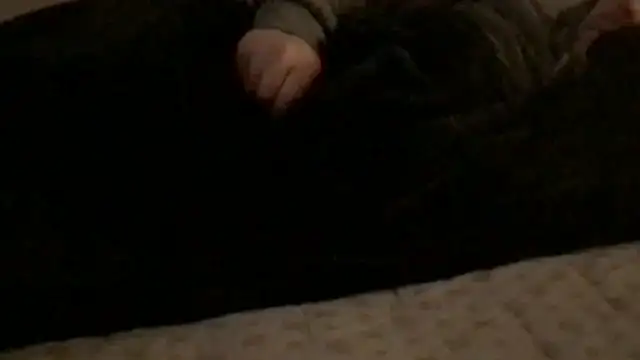 Rock Pierce online show from 02.28.26