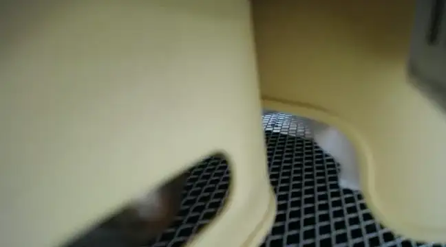 Lovensetest online show from 01.15.25