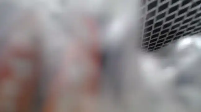 Lovensetest online show from 02.26.25