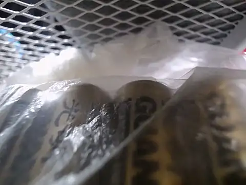 Lovensetest online show from 09.30.25