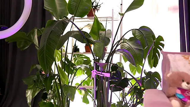 EmilyRaymont online show from 09.21.25