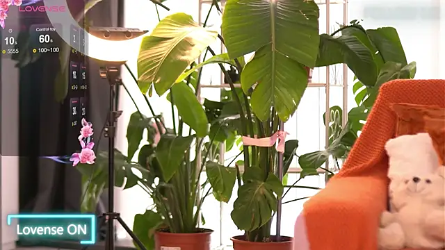 EmilyRaymont online show from 10.18.25