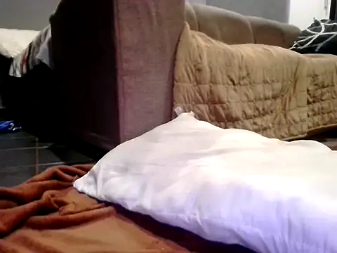 youngdice366 online show from 01.06.26