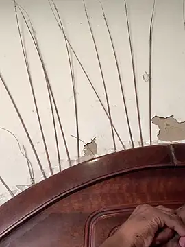 DManL online show from 04.15.26