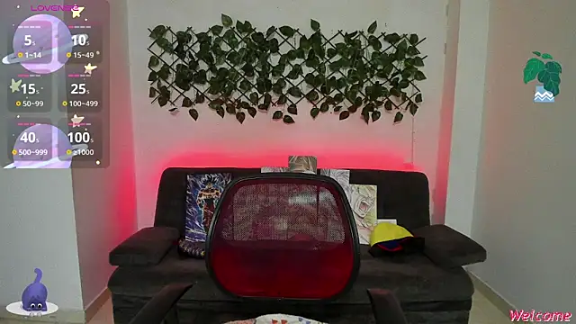 jonathanjoestar  online show from 01.08.25