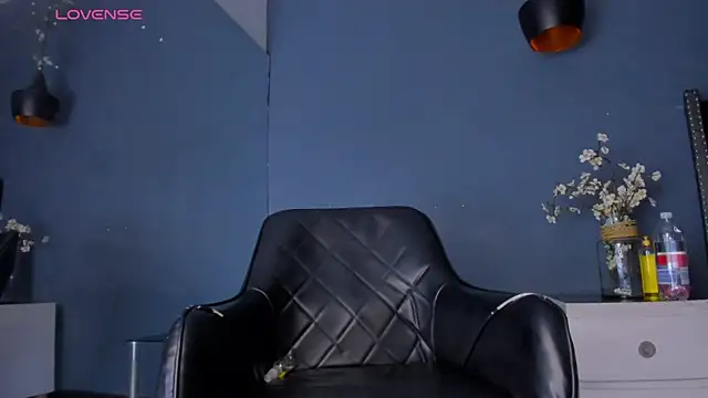 Snapshot of Bryson_Collins_ chatting on 03.14.25 Bryson Collins online show from 03.14.25