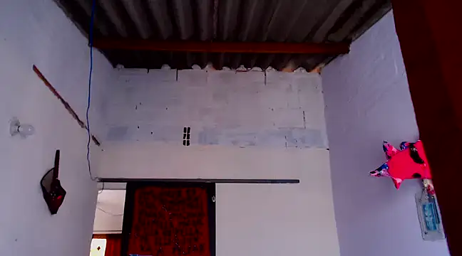 Snapshot of Zafiro_subversiva chatting on 02.03.25 Zafiro subversiva online show from 02.03.25