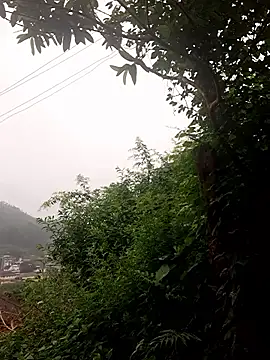 lustforlife9622 online show from 12.03.25