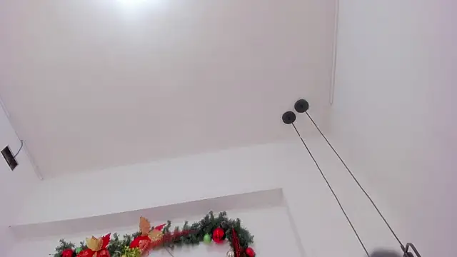 Snapshot of penelope_handaos chatting on 12.13.24 penelope handaos online show from 12.13.24