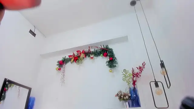 Snapshot of penelope_handaos chatting on 12.29.24 penelope handaos online show from 12.29.24