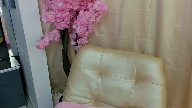  cat 18 online show from 01.16.25