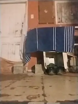 Snapshot of brownfeet chatting on 01.18.25 brownfeet online show from 01.18.25