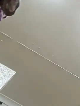 Off the Lesh online show from 03.02.26