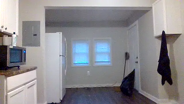 AllLeggs online show from 12.29.24