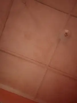 bebsexy online show from 12.14.25