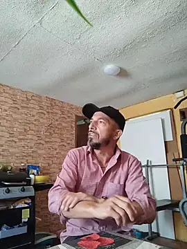 Tristan40xh online show from 04.06.26