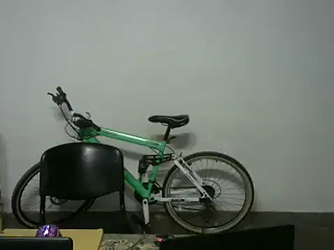 michel sc online show from 01.13.26