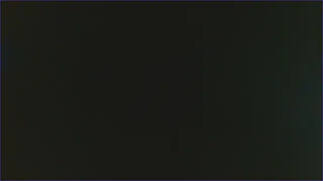 Geisha Seniers online show from 02.11.25