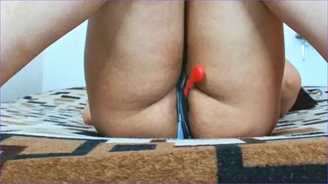 Geisha Seniers online show from 03.11.26