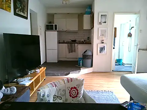 mihaimichael online show from 04.10.26