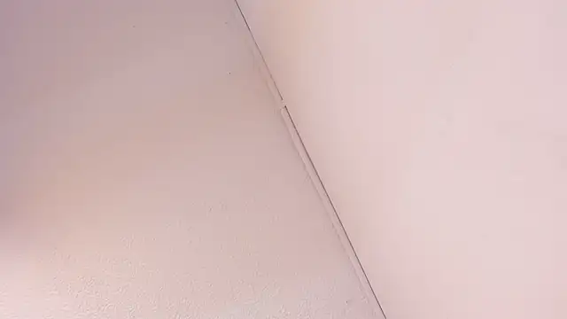 Black Rose2 online show from 03.01.26