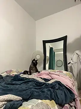 Snapshot of Goddess_Nafeesha chatting on 06.07.26 Goddess Nafeesha online show from 06.07.26