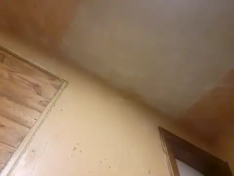 Snapshot of BigDDave6979 chatting on 03.14.25 BigDDave6979 online show from 03.14.25